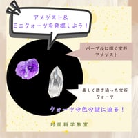 【科学教室オンラインチケット】ミニクォーツ＆アメジスト発掘体験5月31日(日)10:30〜