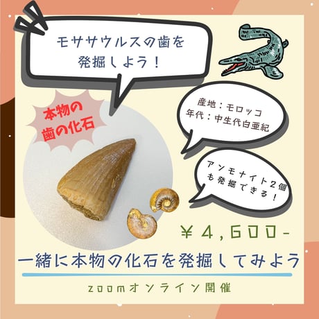 【科学教室オンラインチケット】モササウルス発掘体験 10月24日(土)14:00~