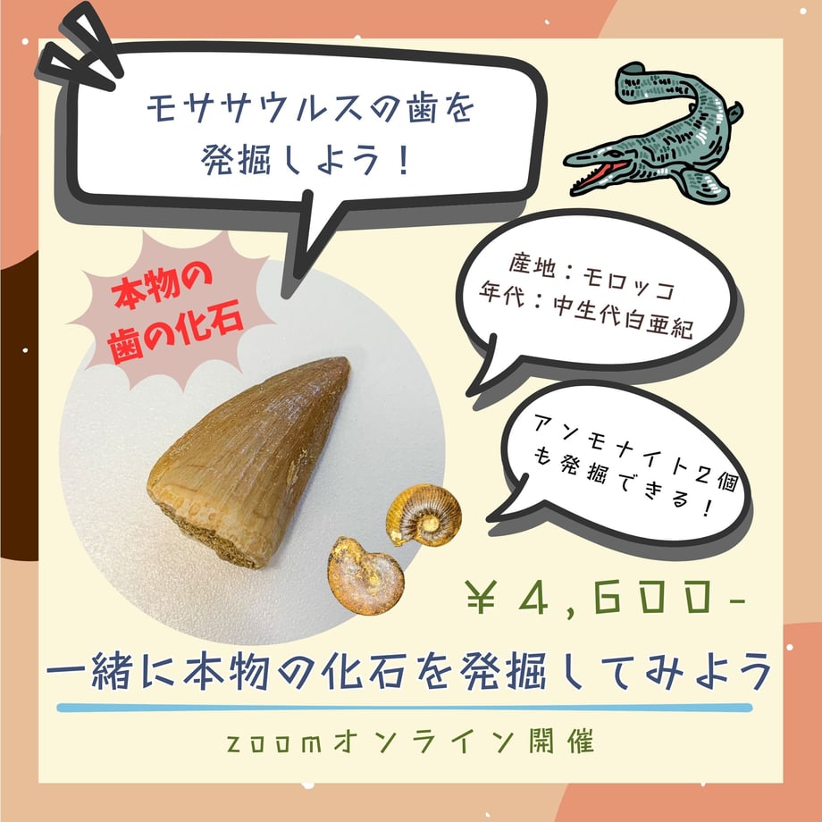 6aba2b0ce78a8626dca3ef8d