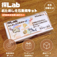 【初めてにおすすめ！】おためし化石発掘キット