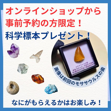 【科学教室】特大モササウルス発掘体験 7月18日(土)14:00〜
