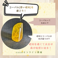 【科学教室オンラインチケット】親子でコーパル磨き体験 6月7(日)14:00〜