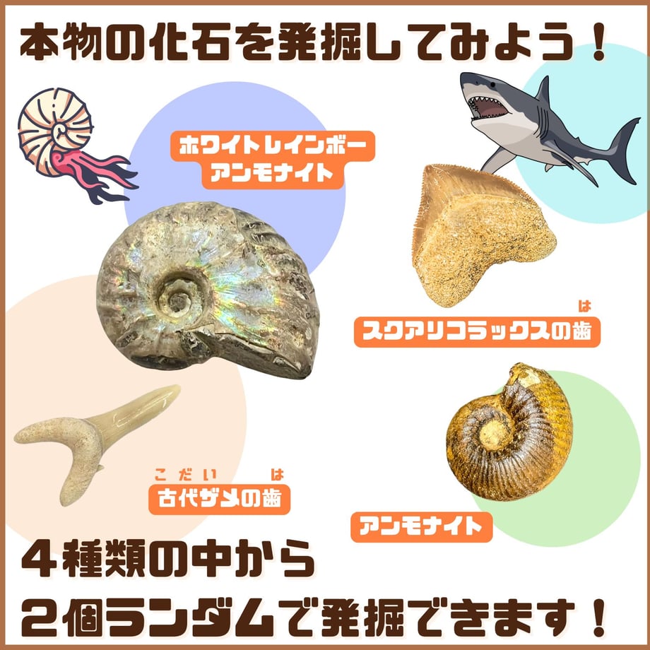 6a3fd6ba66372a73cb476267
