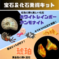 【セット販売】ホワイトレインボーアンモナイト発掘キット＆琥珀発掘キット