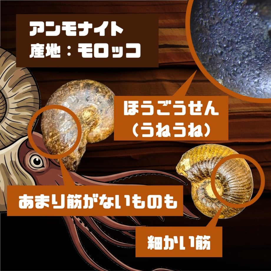 6a3fd6ba66372a73cb476267