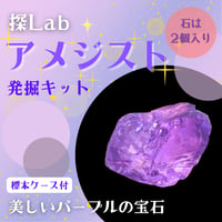 【美しいパープルの宝石】アメジスト発掘キット