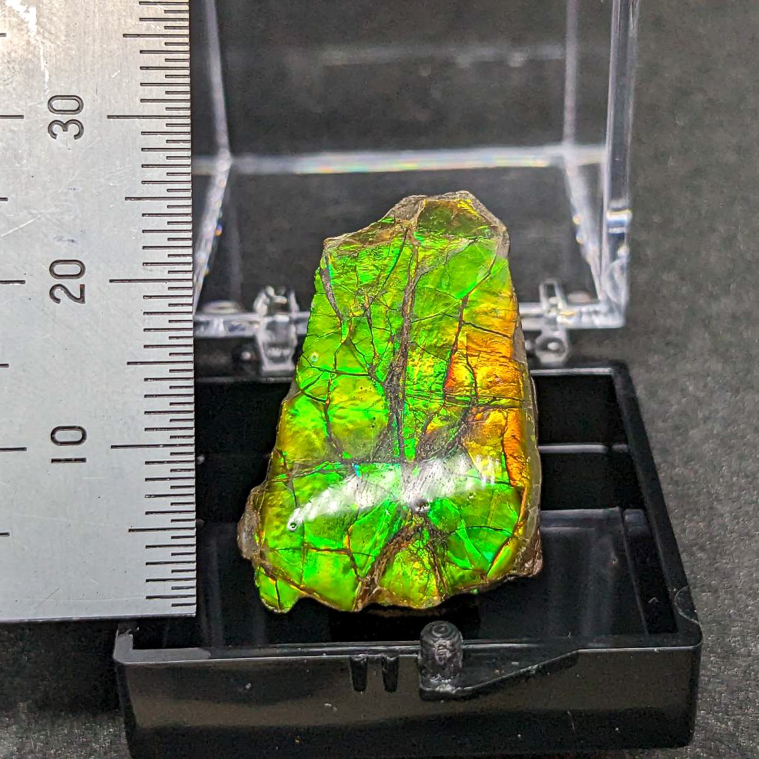 ※1点物『古の符術：アンモライトステイヴ』ナブロカルスタフィールと聖アンナ アンモライト(Ammolite) | 探LabSHOP