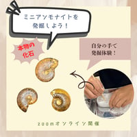 【科学教室オンラインチケット】ミニアンモナイト発掘体験 7月4日(土)10:30〜