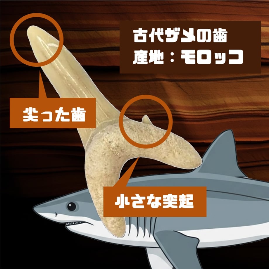 6a3fd6ba66372a73cb476267