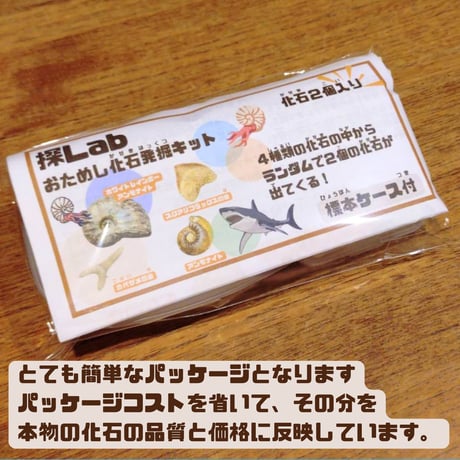 【イベント・まとめ買いにおすすめ！】おためし化石発掘キット 10個セット