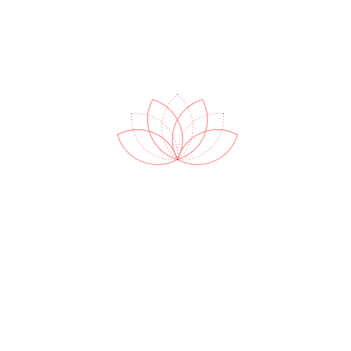 プラスイチド