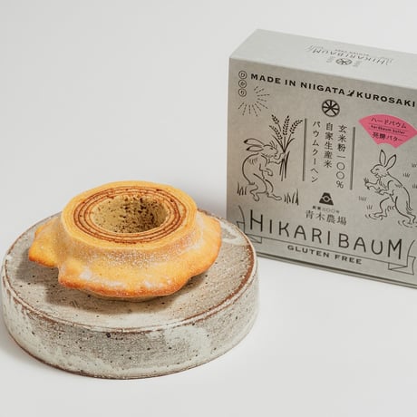 NIIGATAひかりBAUM    （ハード）