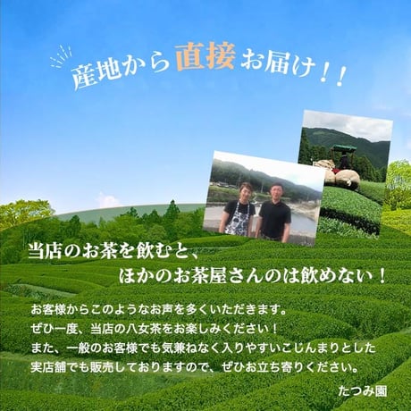 八女茶　煎茶紐付きティーバック3ｇ×１３包入
