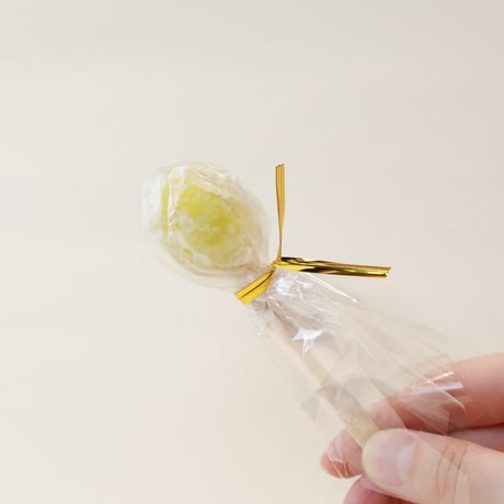 【業務用】冷凍フルーツ飴 総合お試しセット｜卸販売・アイス用