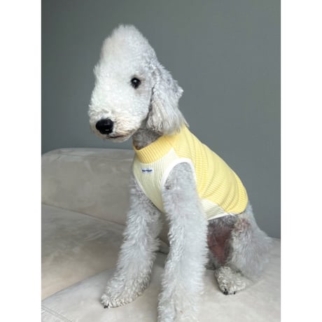 Waffle Knit 4Colors Yellow