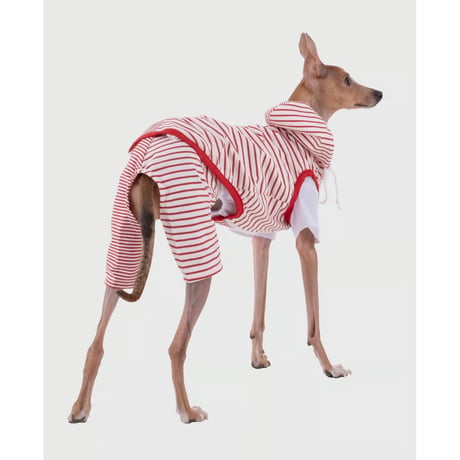 Stripe Mix Hooded Zip-up RED