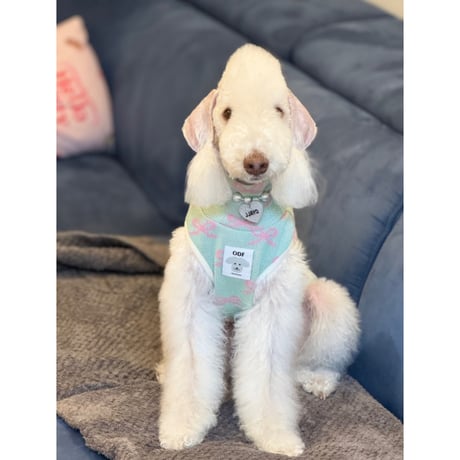 Ribbon Knit Mint