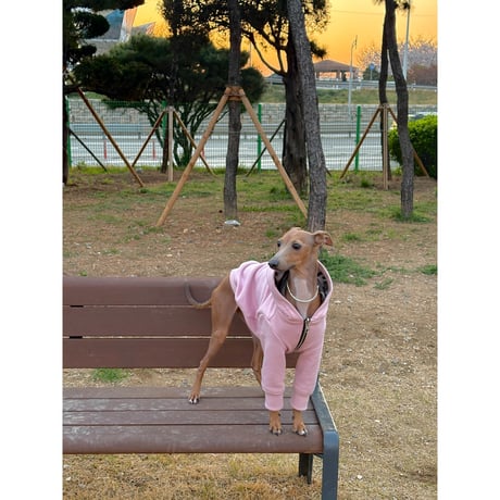 [Limited] Hidden Pattern Reversible Hooded Zip-Up PINK×MINITARY
