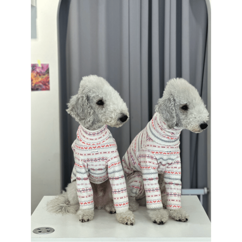 mignon select for dog