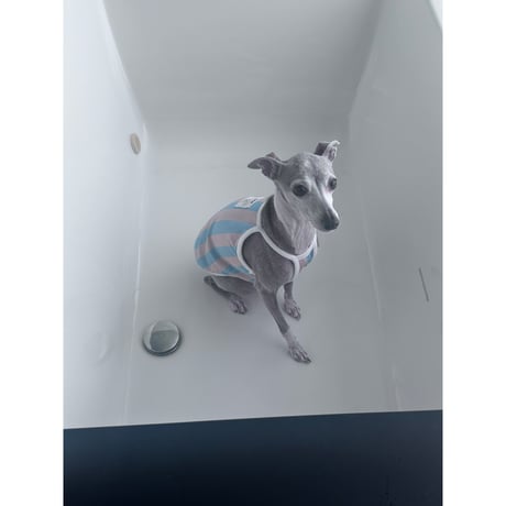 Cooling UV Blocking Stripe Camisole Blue