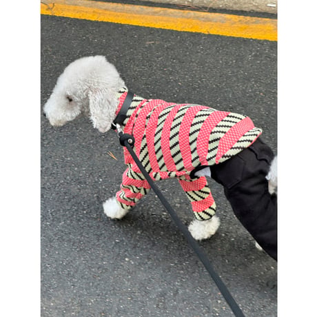 Stripe Patterned Knitwear Pink