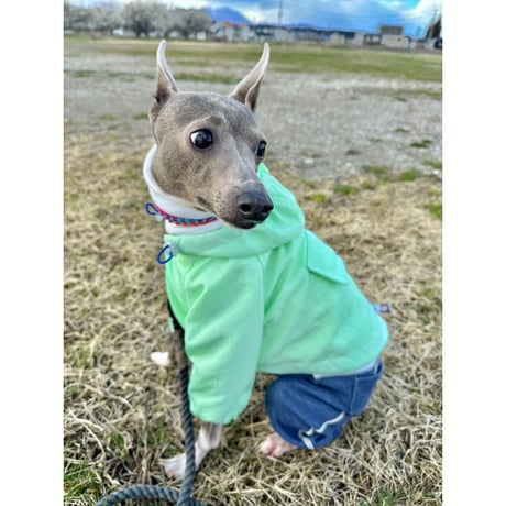 Waterproof Windproof Windbreaker Mint