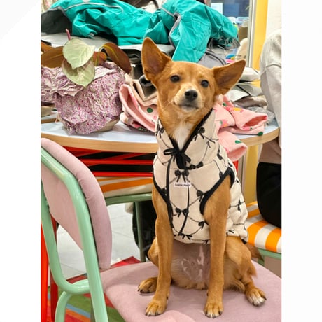 Balletcore Ribbon Vest