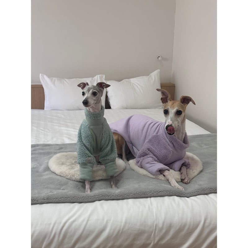 Mochi Fleece Purple | mignon select for dog
