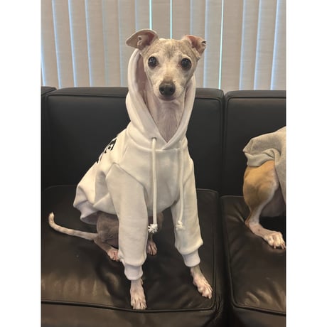 More Long Walks Hoodie White