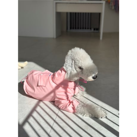 Waterproof Windproof Windbreaker Pink