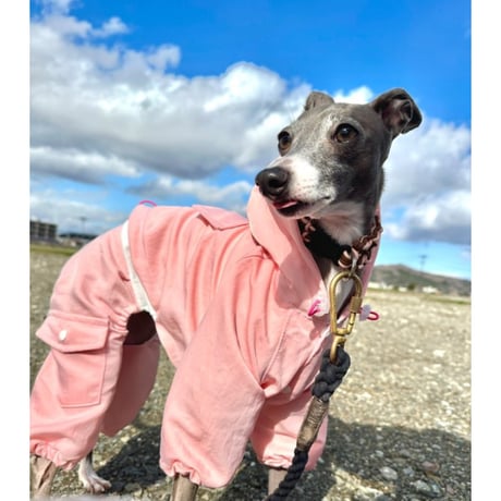 Waterproof Windproof Windbreaker Pink