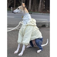Waterproof Windproof Windbreaker Yellow