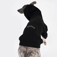 Logo Hoodie BLACK