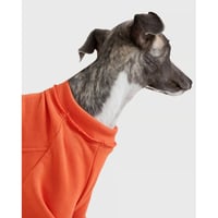 Pocket Point Sweatshirt ORANGE