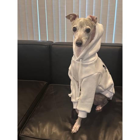 More Long Walks Hoodie White