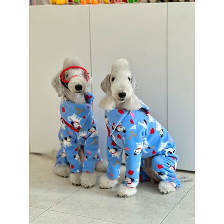Baduk fleece All in one