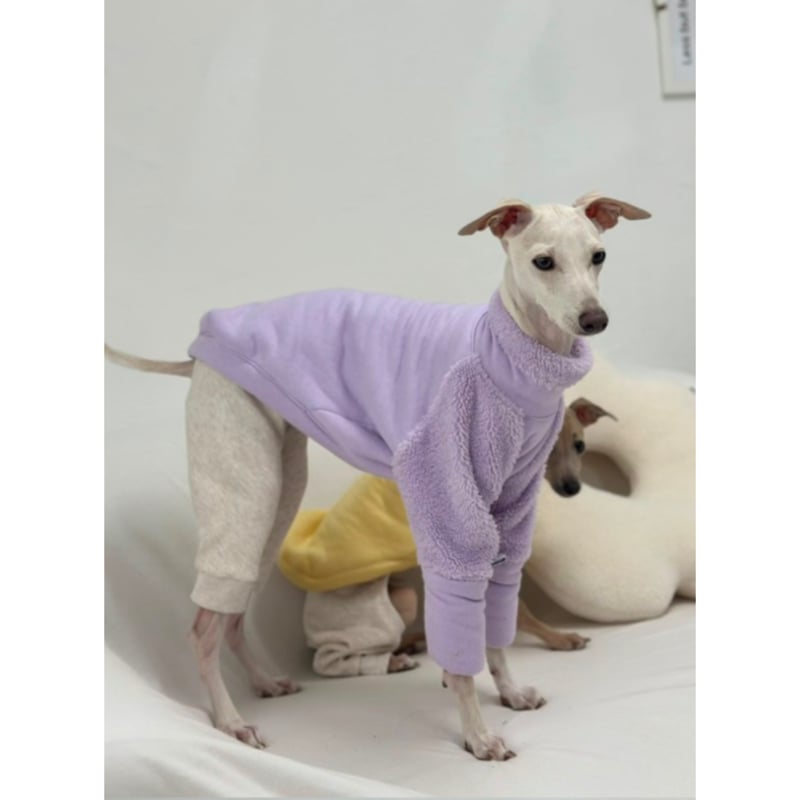 Mochi Fleece Purple | mignon select for dog