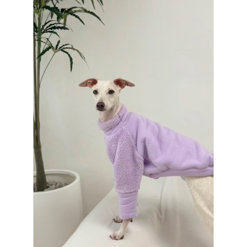 Mochi Fleece Purple | mignon select for dog