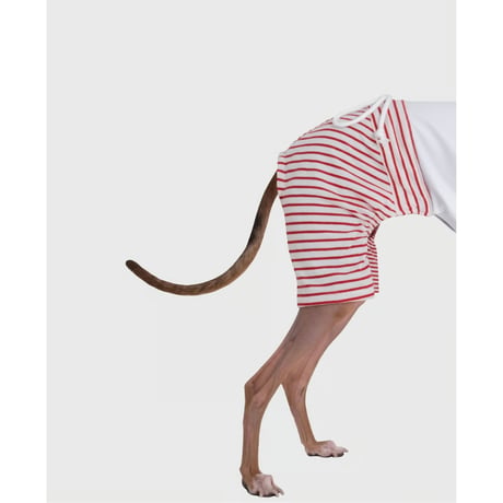 Stripe Mix Half Pants MINT