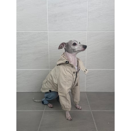 Pintuck Sleeve Jacket IVORY