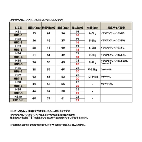 Silver Stripe Short Sleeve Tshirt Beige