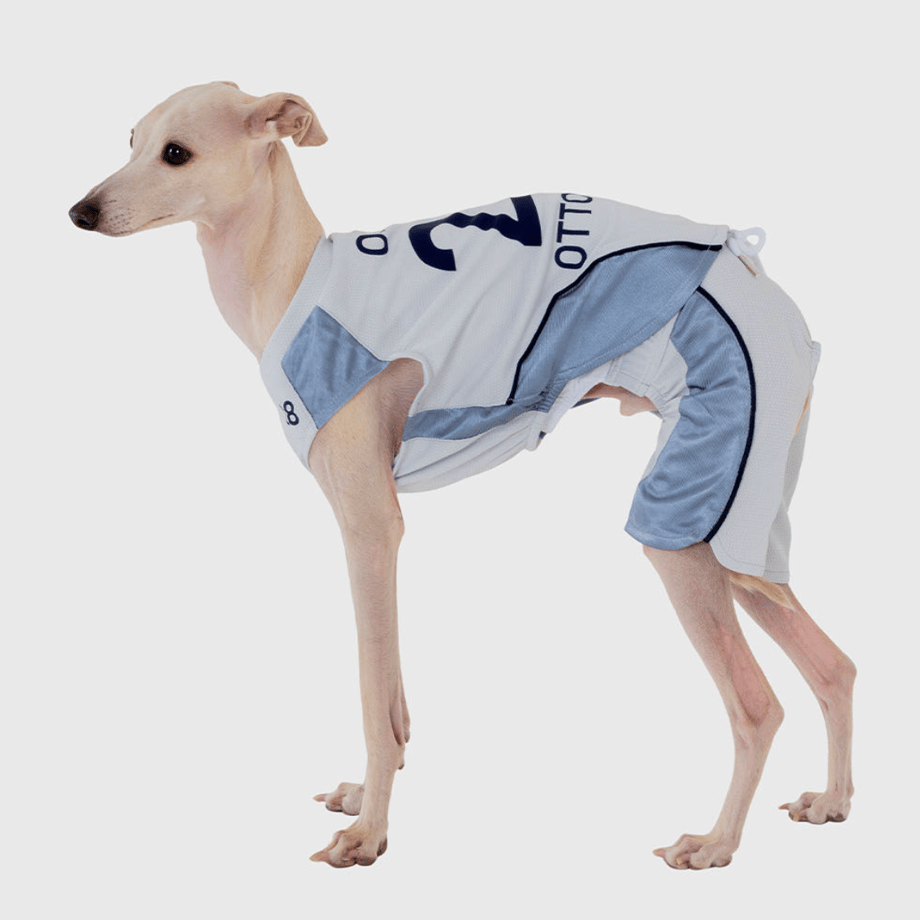 6a1e4c1be7c5ab1932d68eb3
