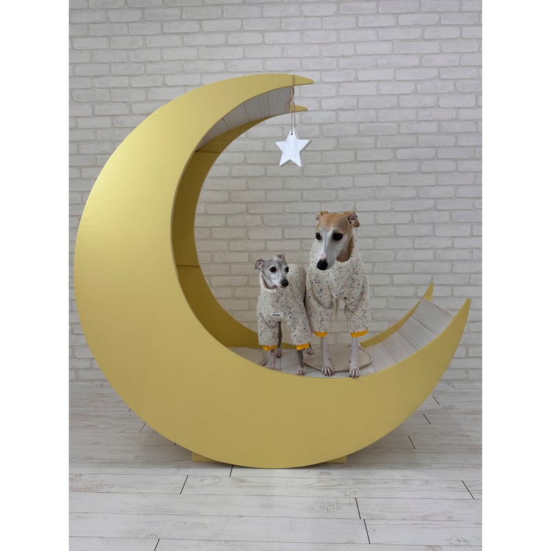 CATEGORY [Still in Stock] | mignon select for dog