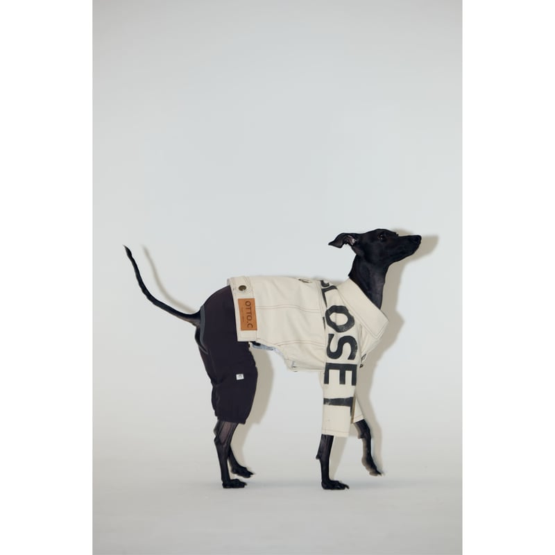 mignon select for dog