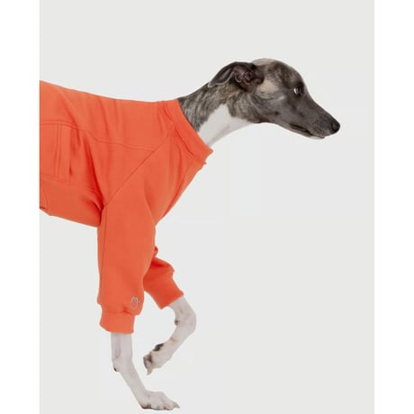 Pocket Point Sweatshirt ORANGE