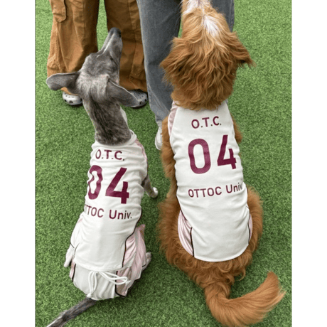 OTTO University Basketball Uniform SET UP PINK