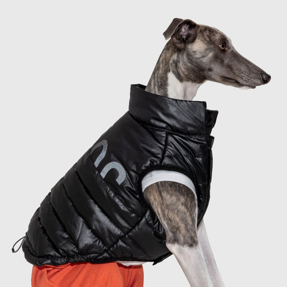 689d4b865597981984a66dab