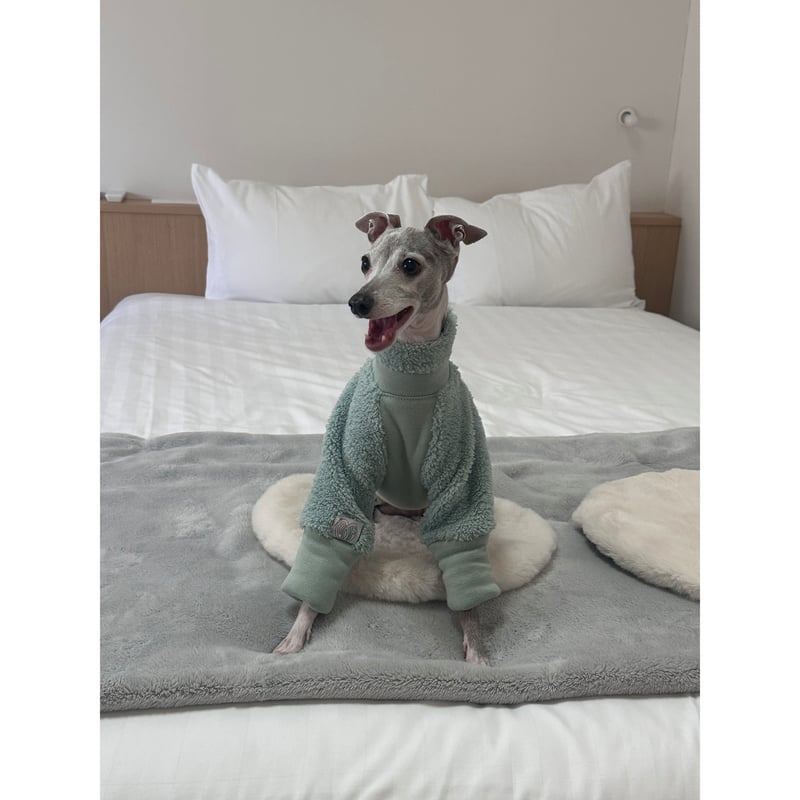 Mochi Fleece Purple | mignon select for dog