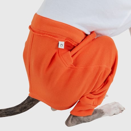 Block Pants ORANGE