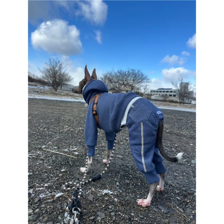 Denim Line Hooded Cropped Length